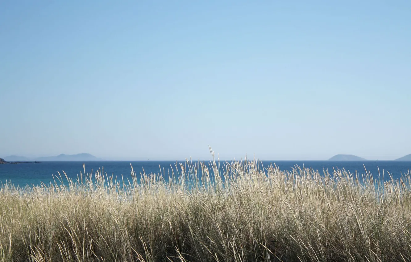 Фото обои summer, grass, sea, ocean, seascape, islands, sunny