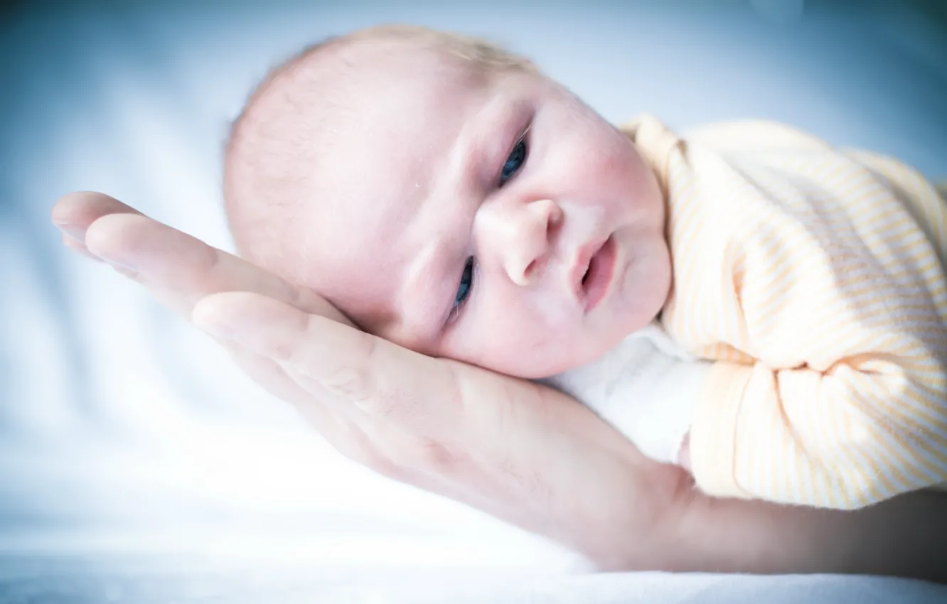 Фото обои жизнь, руки, младенец