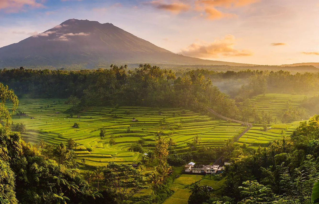 Фото обои Индонезия, рисовые поля, остров Бали, вулкан Агунг
