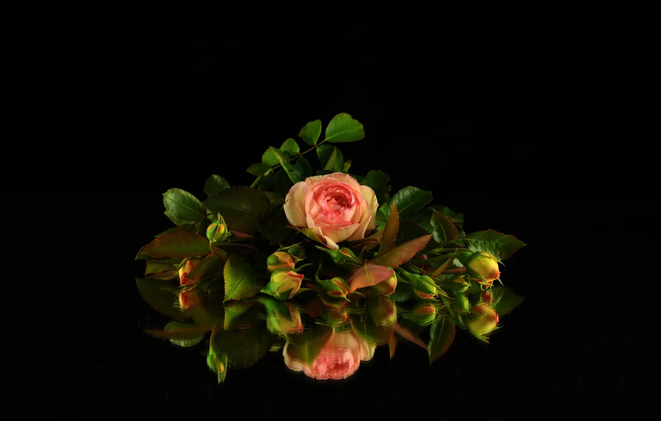 Фото обои отражение, фон, черный, розы, букет, бутоны