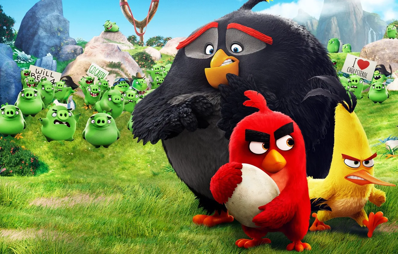 Фото обои Red, game, pirate, birds, film, animated, angry, Angry Birds