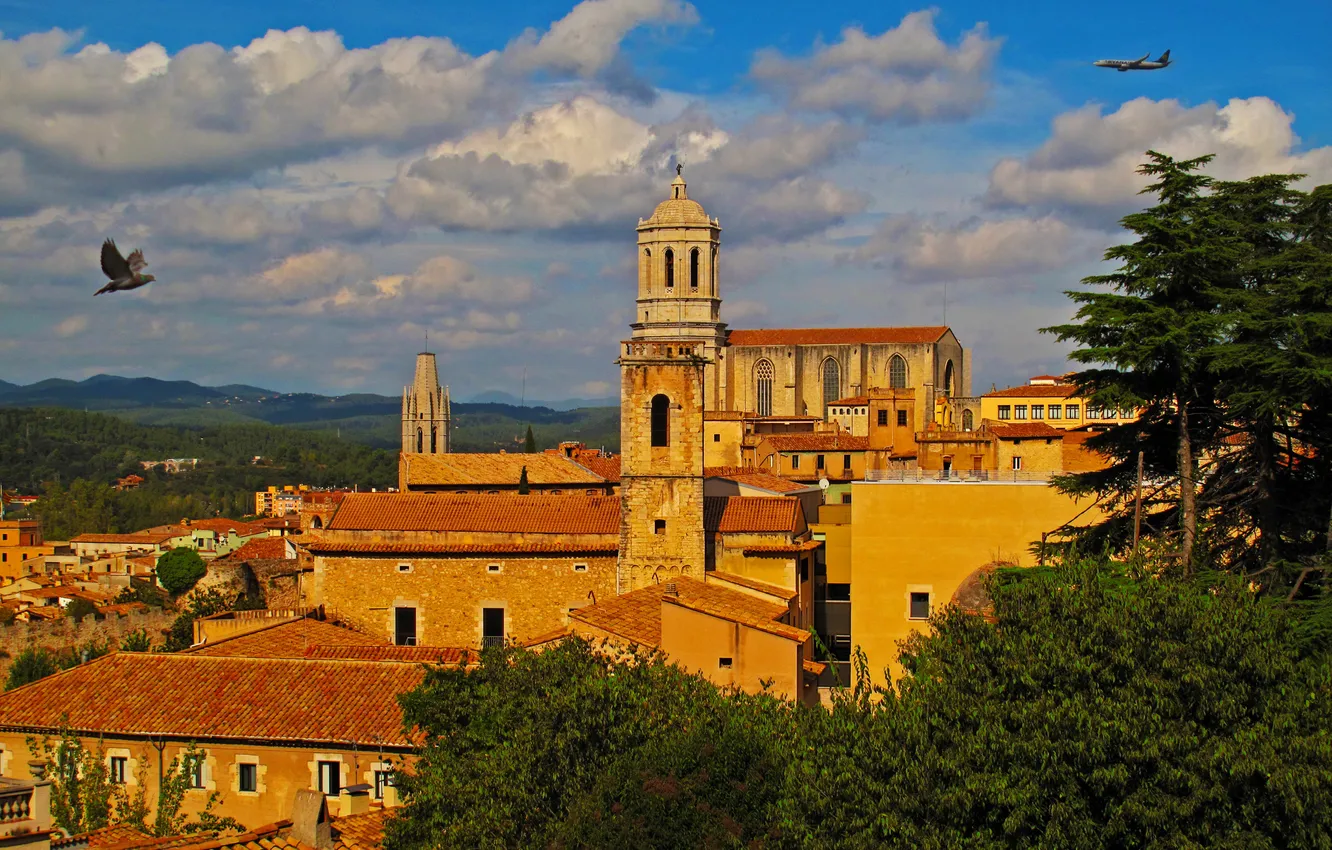 Фото обои облака, деревья, самолет, голубь, дома, Испания, Girona