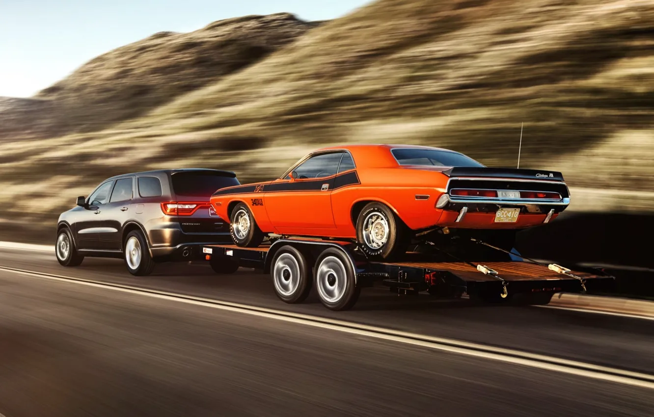 Фото обои дорога, фон, Додж, Dodge, Challenger, вид сзади, 1970, 340