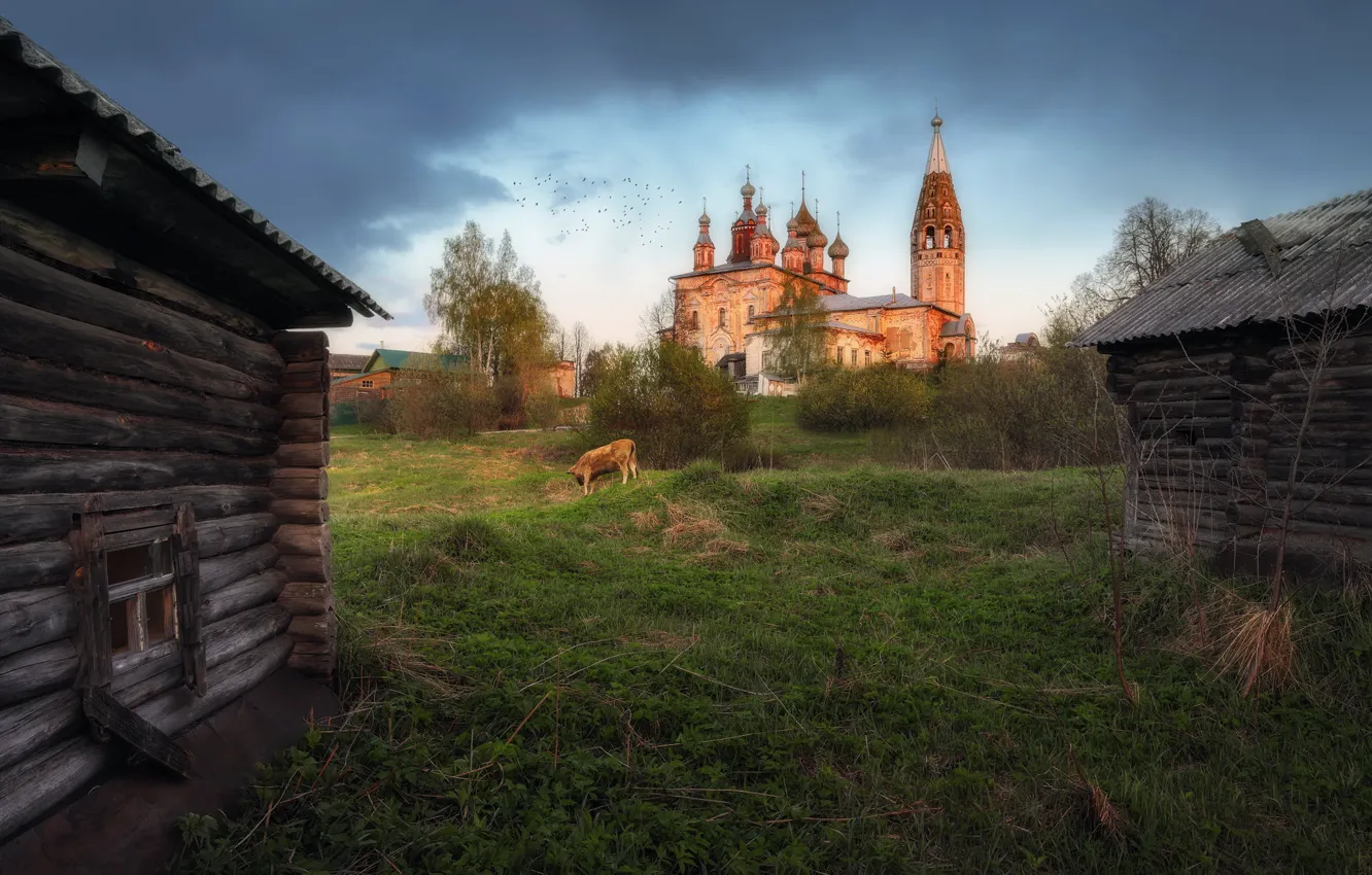 Фото обои храм, Ивановская область, село Парское