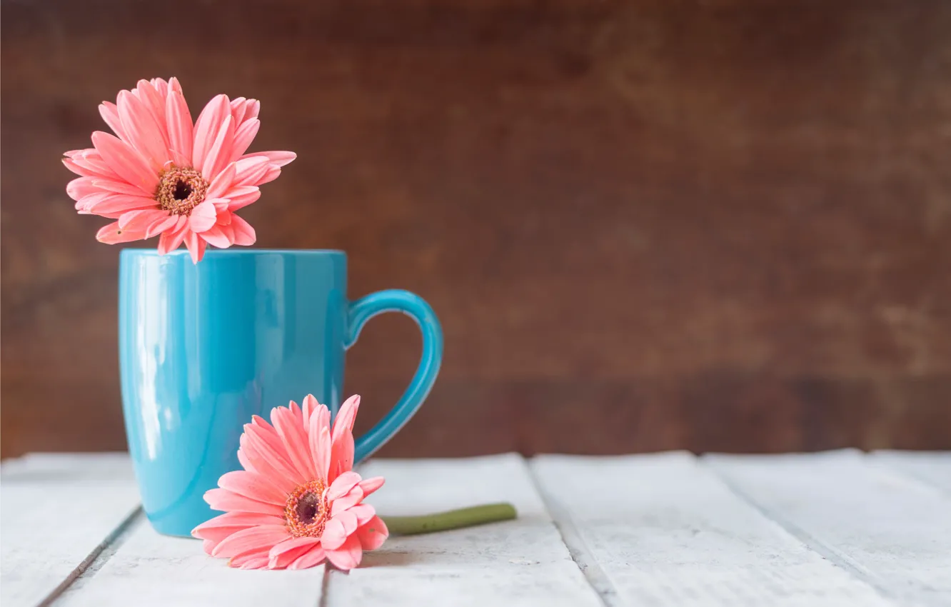 Фото обои цветы, кружка, хризантемы, wood, pink, flowers, mug