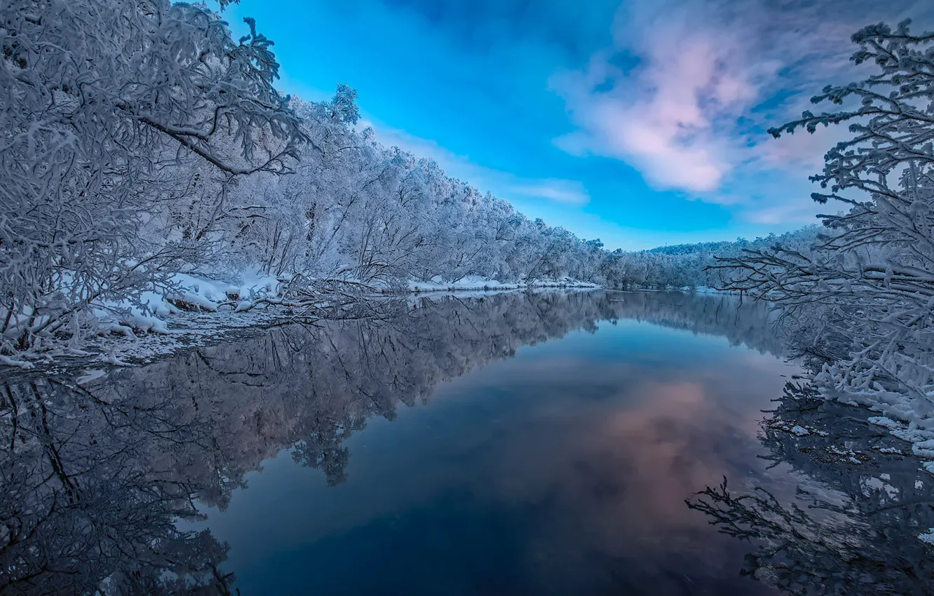 Фото обои зима, лес, деревья, отражение, река, Финляндия, Finland, Lapland