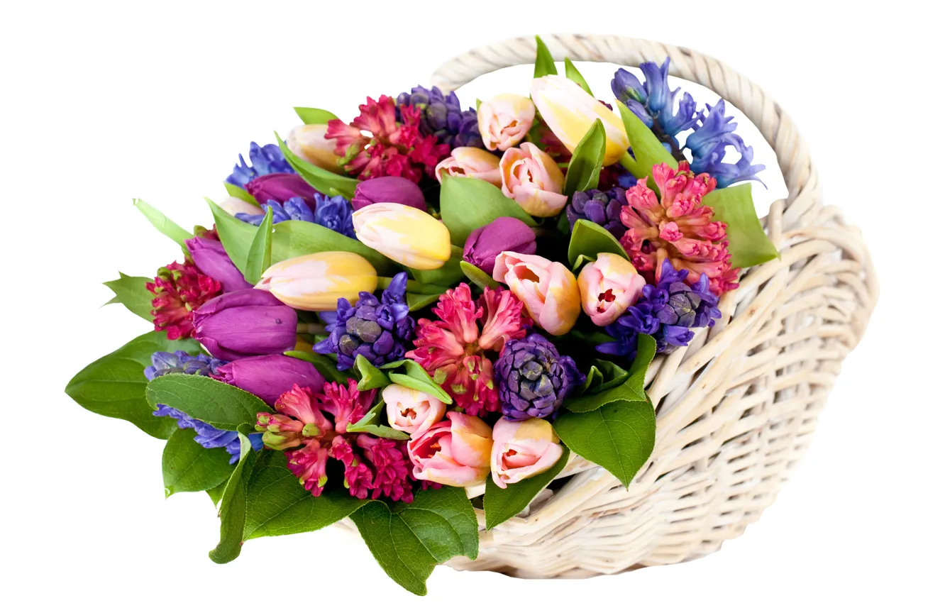Фото обои цветы, тюльпаны, корзинка, гиацинты