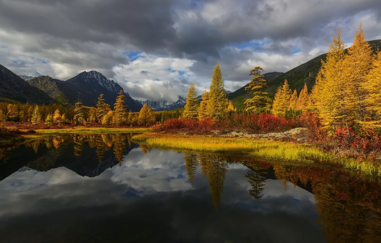 Фото обои осень, облака, деревья, пейзаж, горы, природа, Колыма, Максим Евдокимов