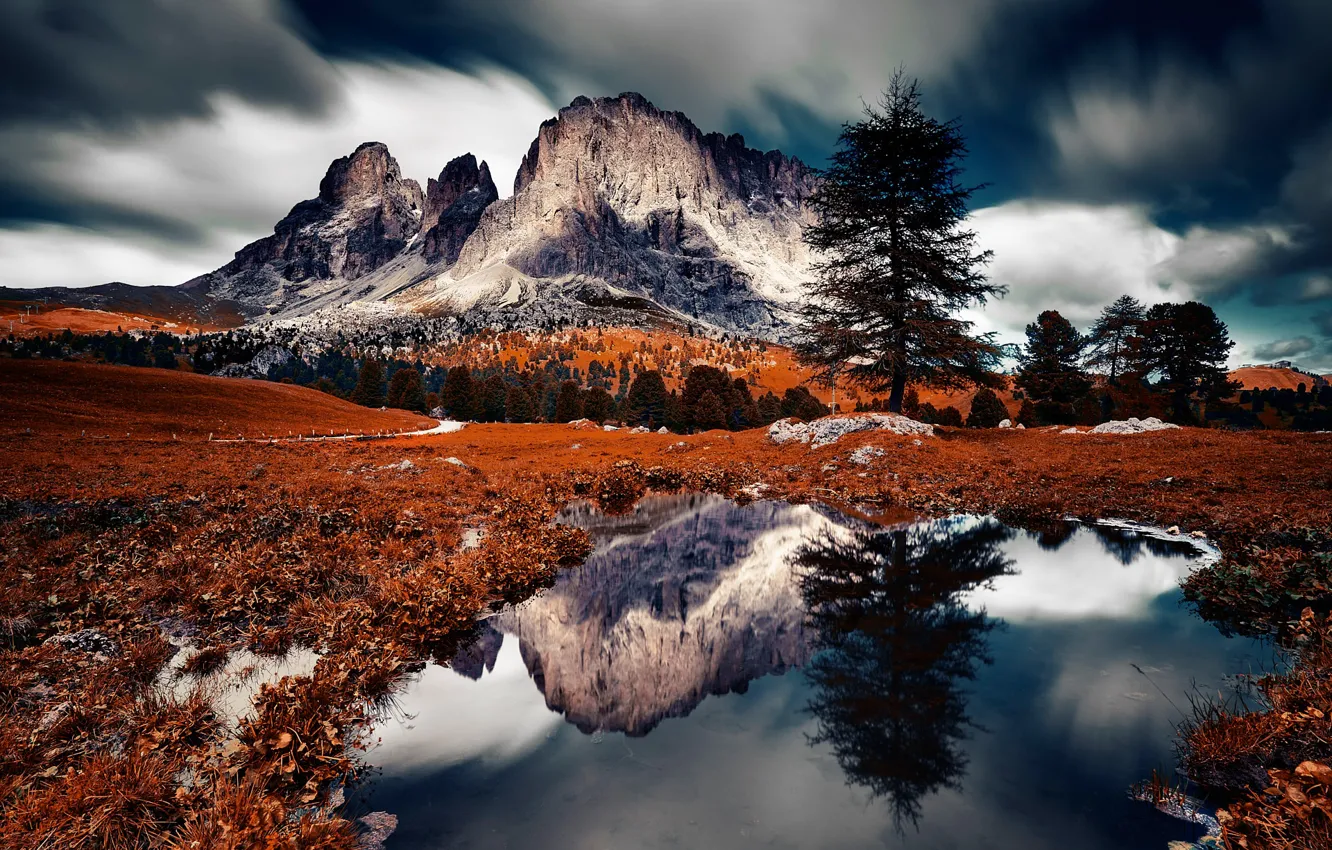 Фото обои горы, озеро, отражение, дерево, Италия, Доломитовые Альпы