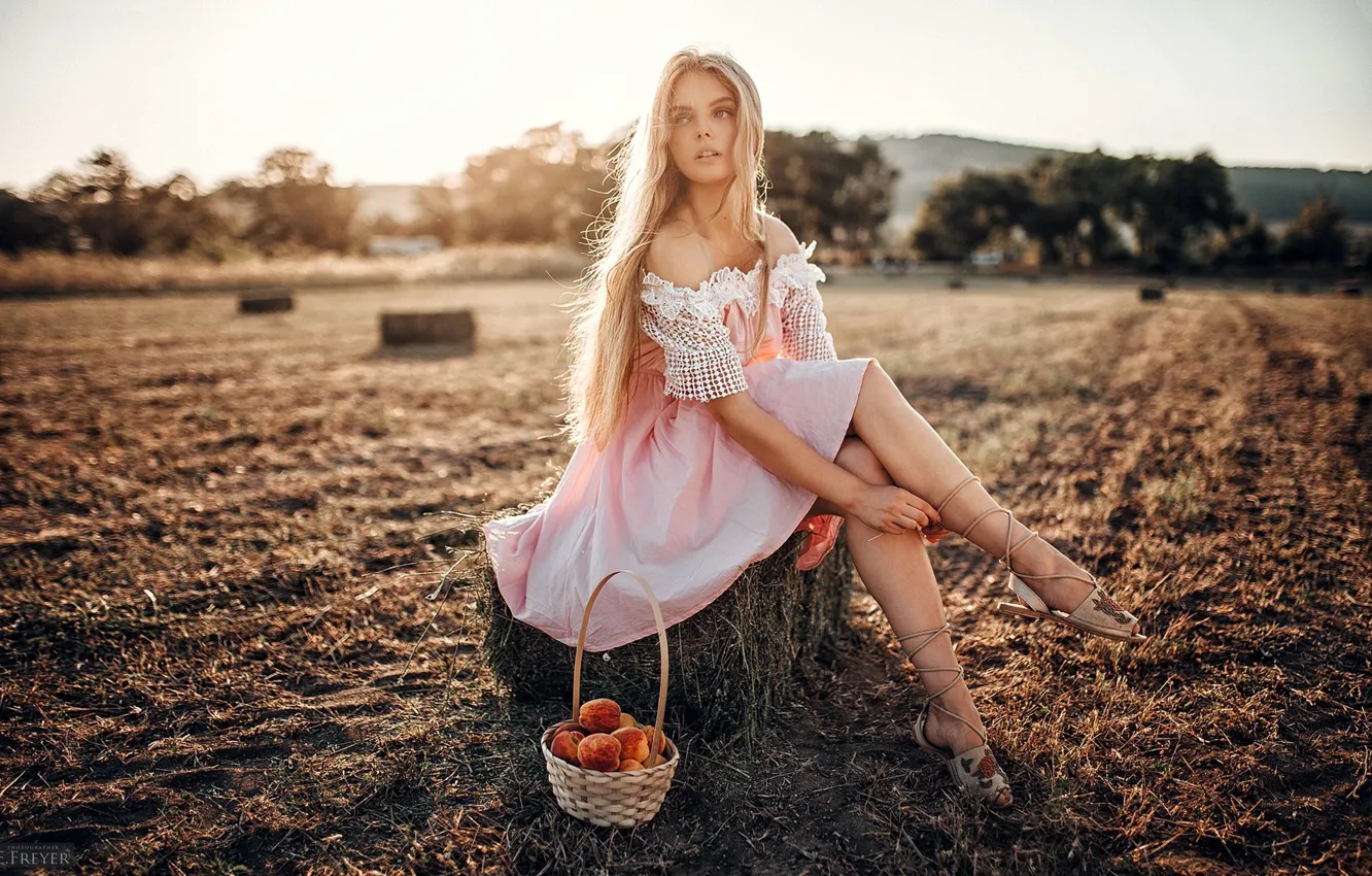 Фото обои поле, лето, девушка, платье, урожай, ножки, корзинка, Evgeny Freyer