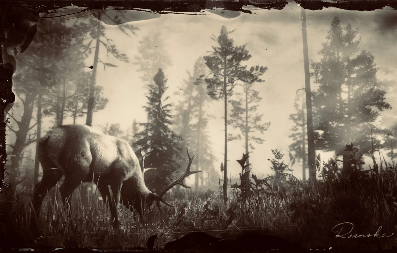 Фото обои HDR, Wood, Game, Deer, Wilderness, UHD, Red Dead Redemption 2, Xbox One X