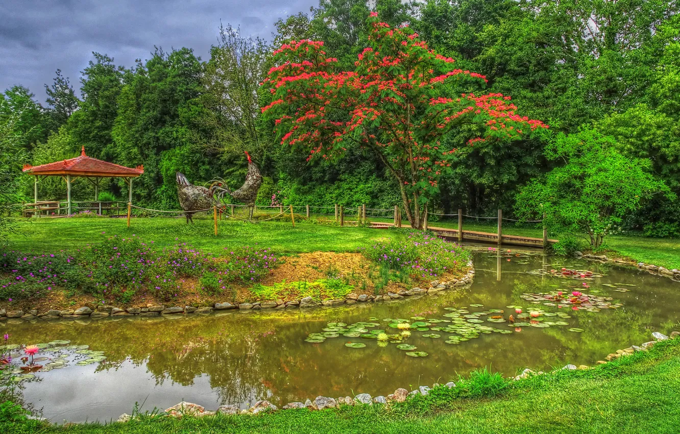 Фото обои зелень, трава, деревья, цветы, птицы, дизайн, пруд, парк