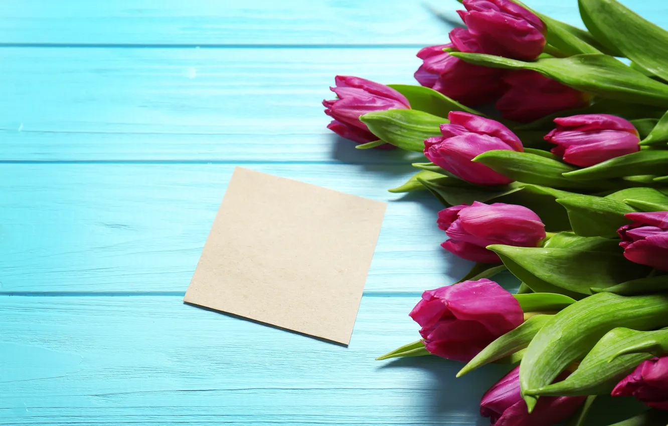 Фото обои цветы, букет, тюльпаны, wood, flowers, tulips, spring, purple