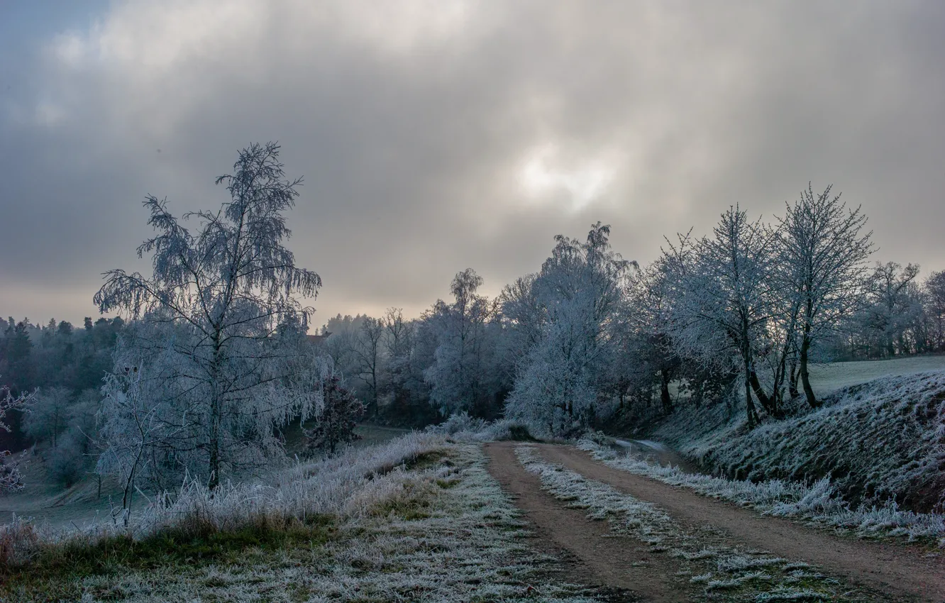Фото обои зима, иней, дорога, трава, деревья, природа, мороз