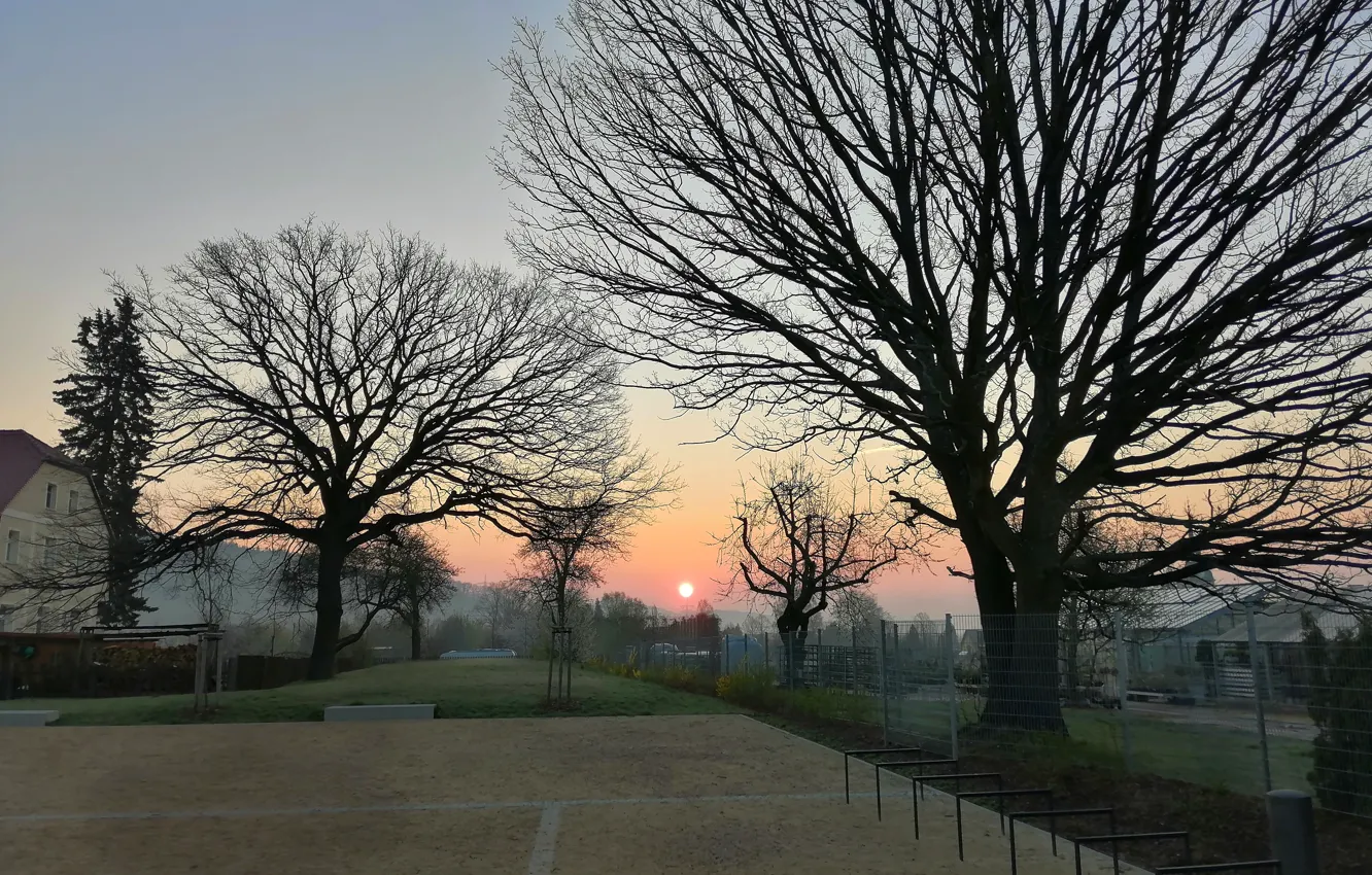 Фото обои photography, trees, landscape, Sun, wood, morning, sunrise, early