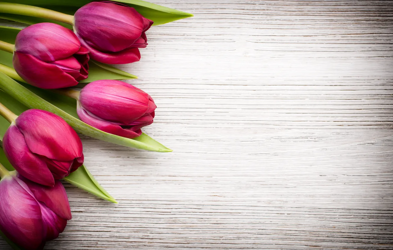 Фото обои цветы, букет, fresh, wood, pink, flowers, beautiful, tulips