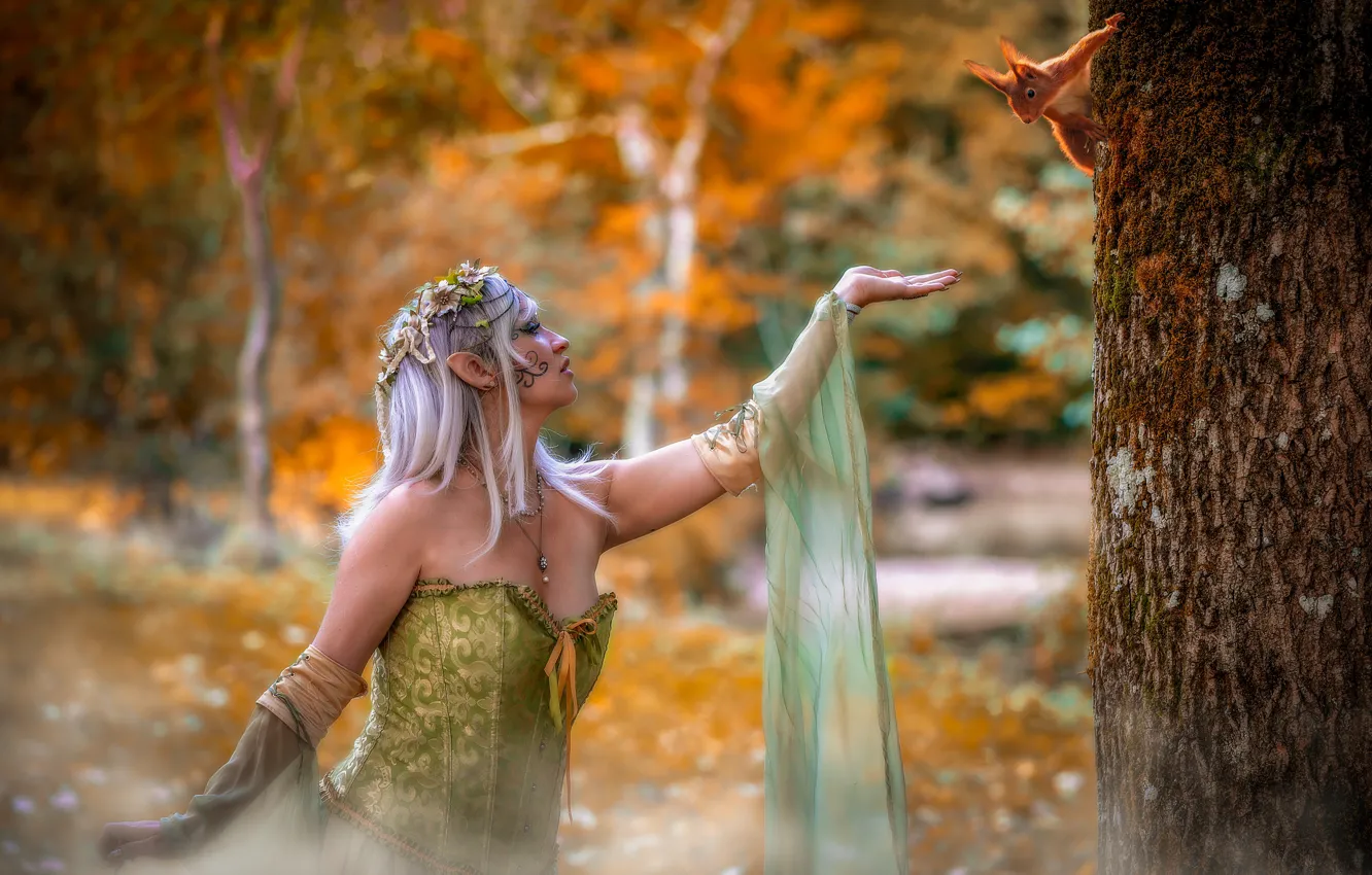 Фото обои осень, лес, девушка, цветы, природа, поза, фон, дерево