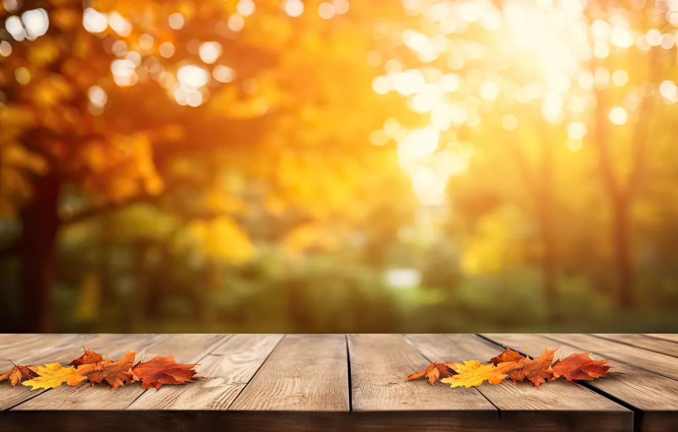 Фото обои осень, листья, парк, фон, forest, park, background, autumn