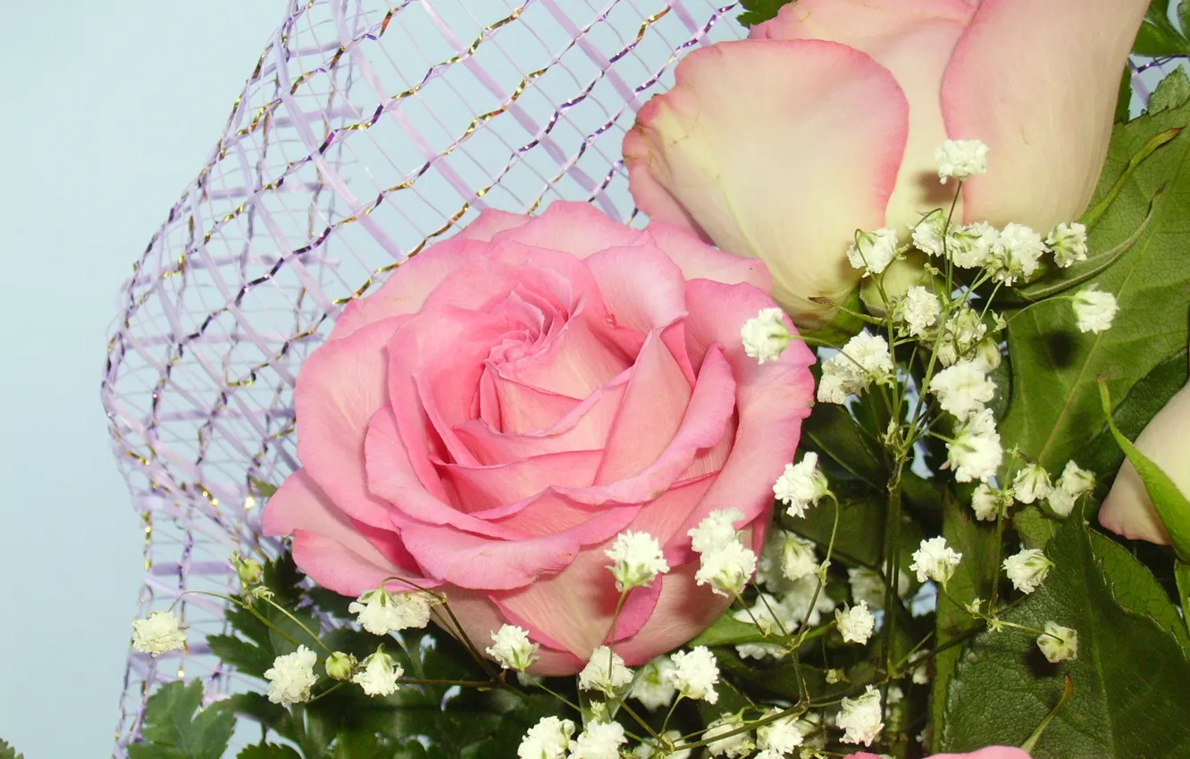 Фото обои розы, букет, розовые. цветы