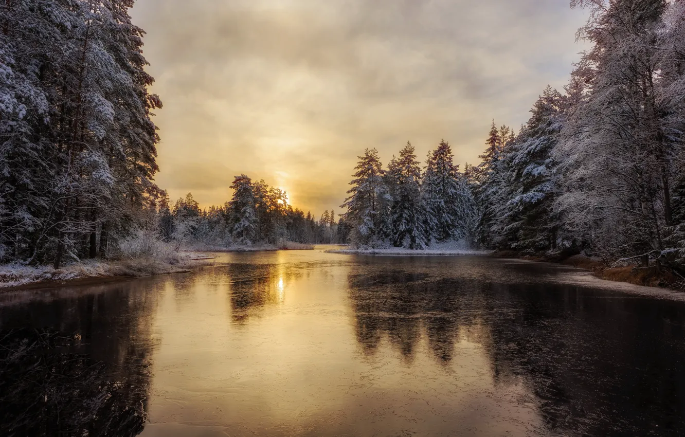 Фото обои зима, лес, речка, Швеция, Arvika