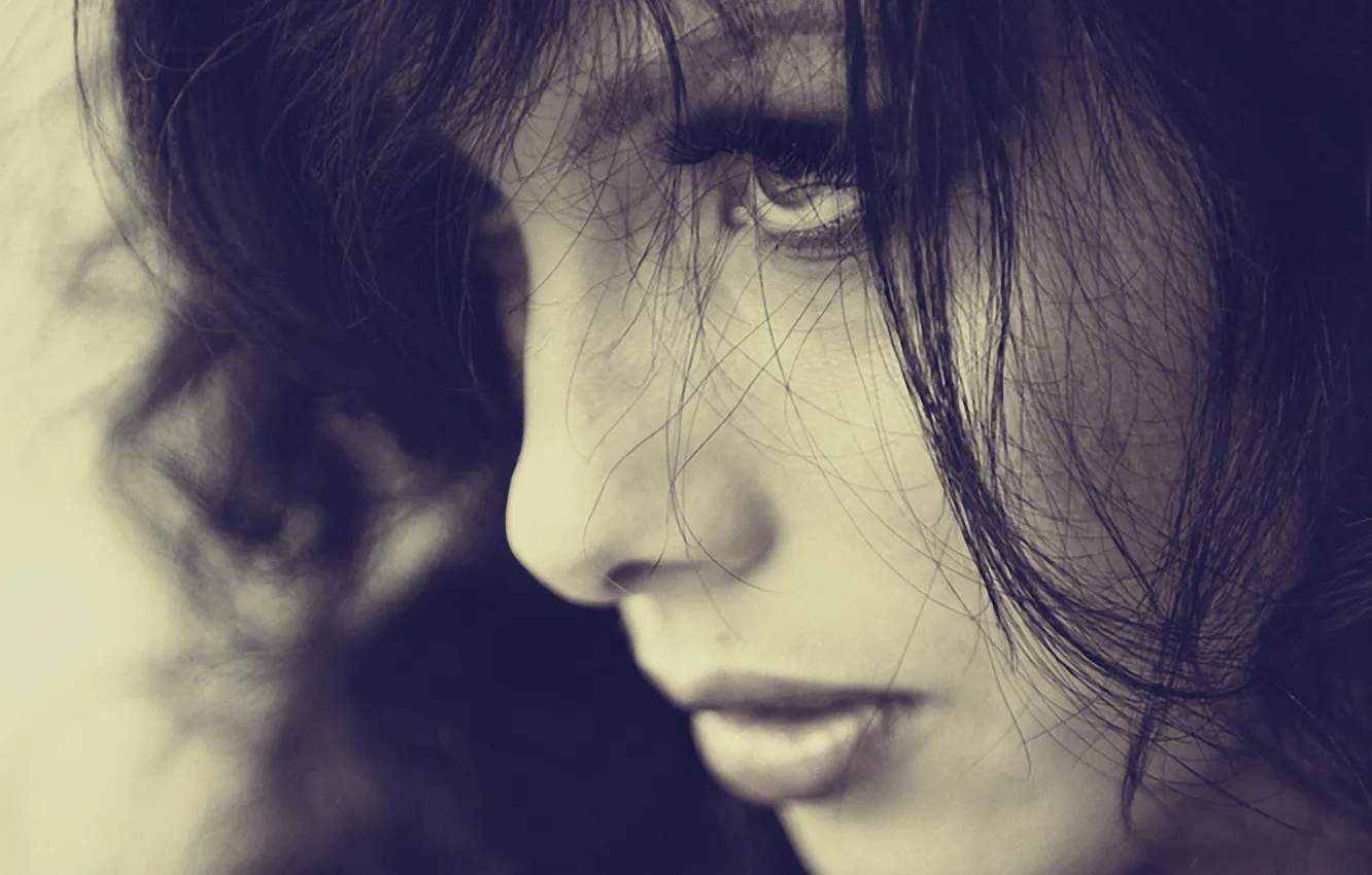 Фото обои девушка, портрет, girl, portrait