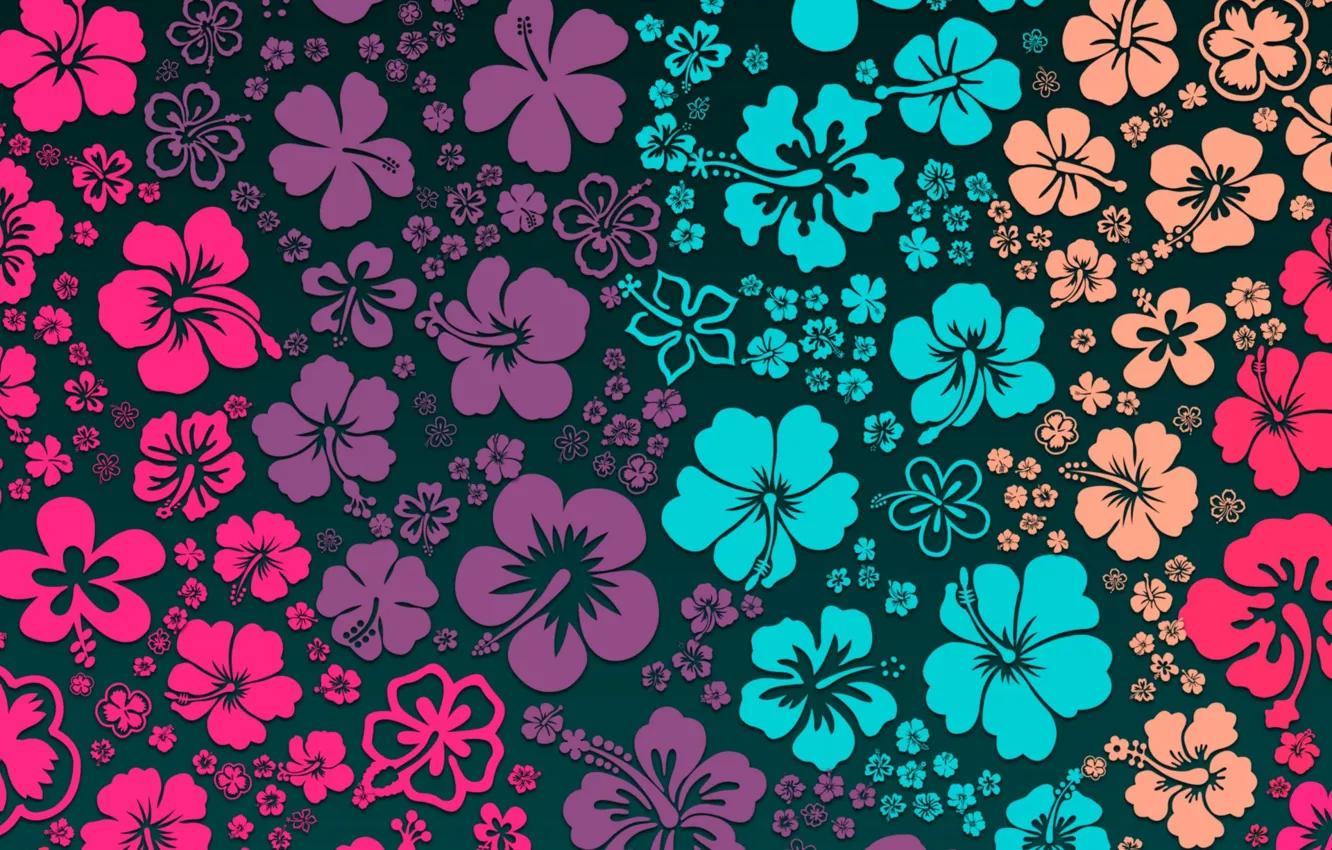 Фото обои цветы, фон, flowers, color