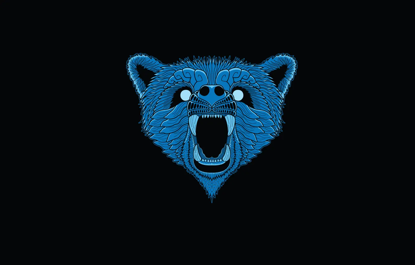 Фото обои морда, синий, минимализм, голова, медведь, черный фон, bear