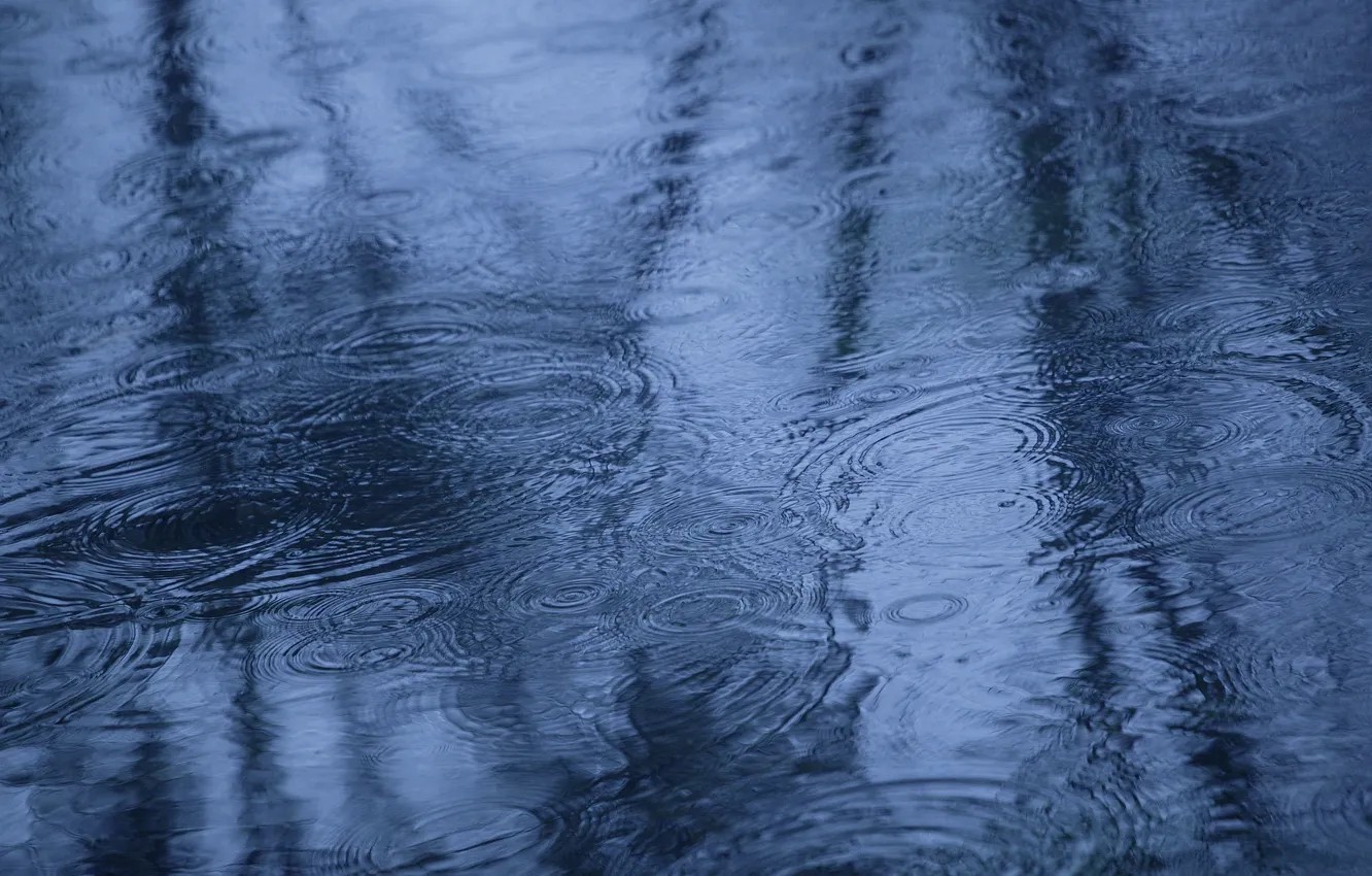 Фото обои осень, вода, отражение, дождь, лужа