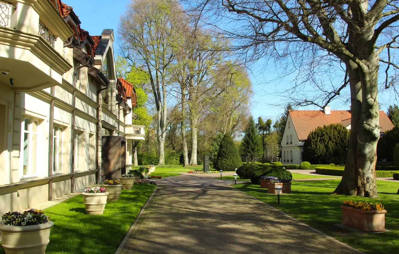 Фото обои park, alley, building