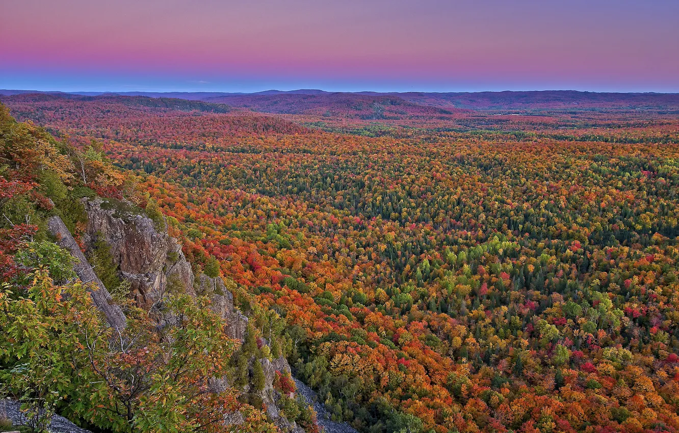 Фото обои осень, лес, деревья, горы, скалы, долина