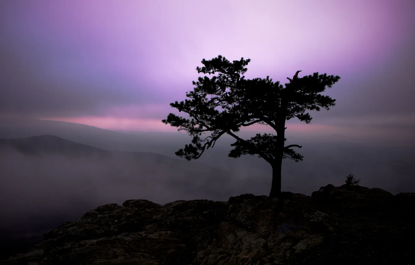 Фото обои небо, свет, пейзаж, горы, природа, туман, дерево, скалы