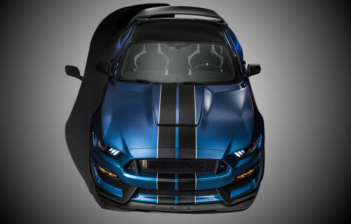 Фото обои Mustang, Ford, Shelby, Muscle, Car, Front, 2015, GT350R