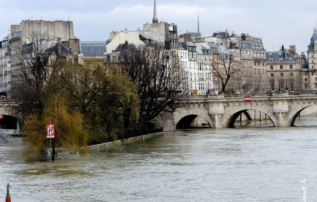Фото обои деревья, мост, река, Париж, дома