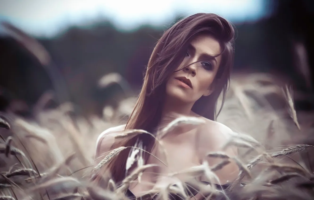 Фото обои взгляд, портрет, Paulina