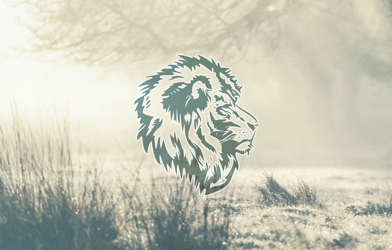 Фото обои abstract, design, lion, animal, graphic, natural