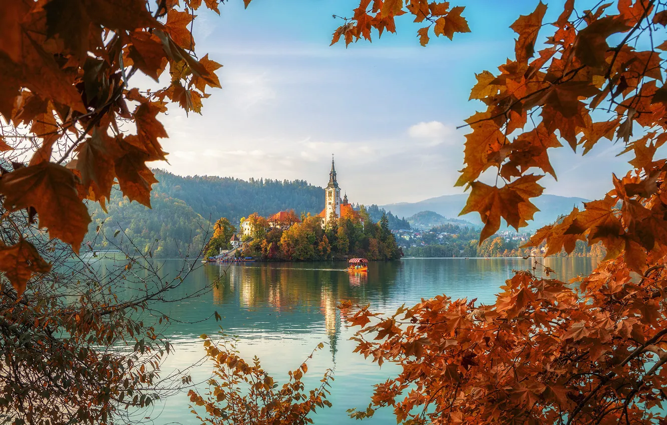 Фото обои осень, лес, горы, отражение, синева, берег, листва, вид