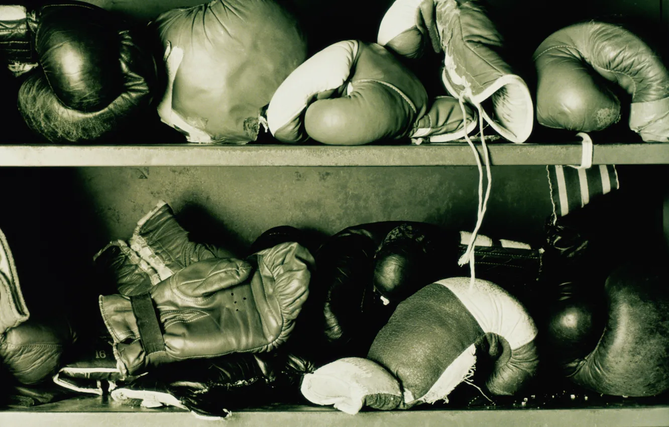 Фото обои boxing, gloves, shelves