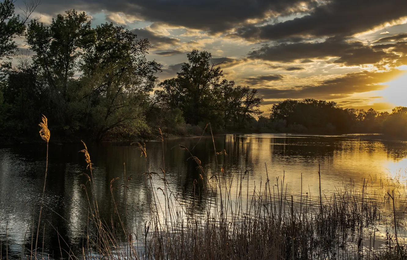 Фото обои trees, sunset, water