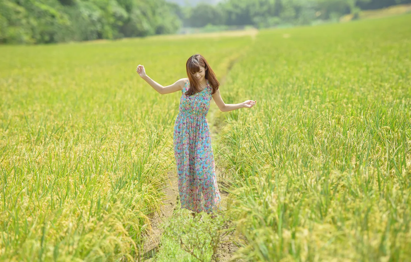 Фото обои поле, лес, трава, девушка, платье, girl, grass, forest