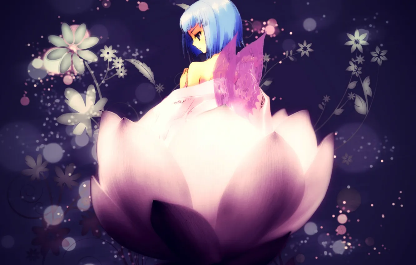 Фото обои цветы, крылья, лотос, девочка, Art, голубые волосы, Shakugan no Shana, Hecate