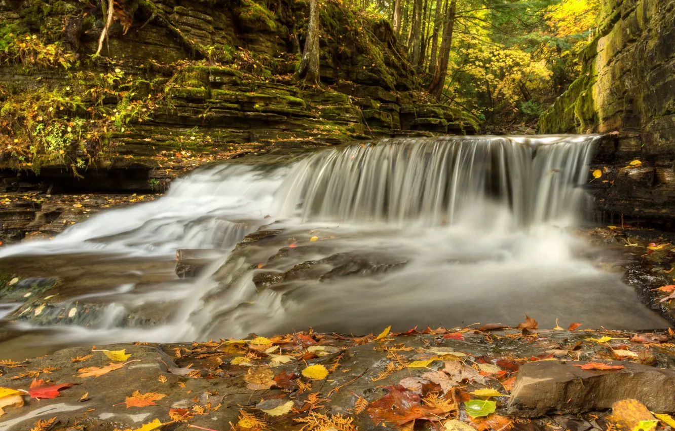 Фото обои осень, лес, листья, деревья, река, скалы, поток, Канада