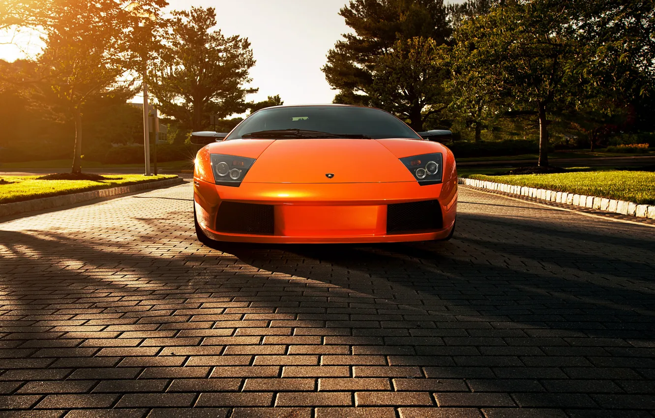 Фото обои цветы, оранжевый, тень, Lamborghini, брусчатка, блик, ламборджини, Murcielago