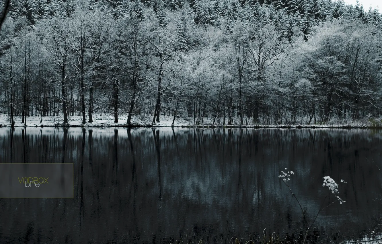 Фото обои холод, лес, снег, озеро