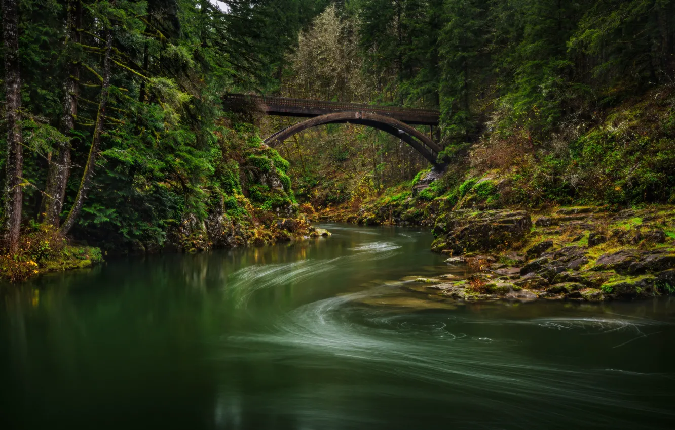 Фото обои лес, мост, река, Lewis River, Washington State, Штат Вашингтон, Река Льюис, Мост Моултон-Фолс