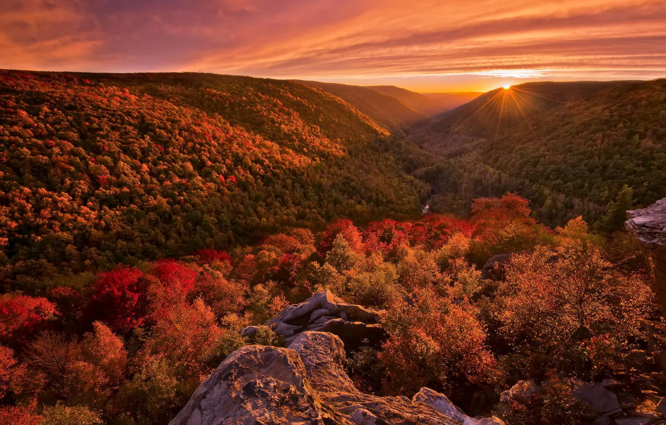 Фото обои осень, лес, пейзаж, закат, краски, свет. природа