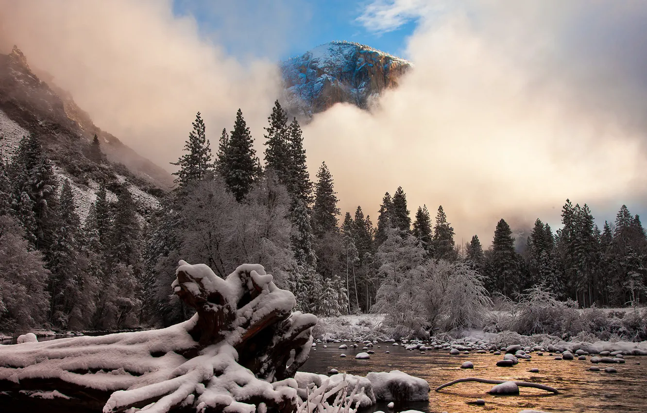 Фото обои иней, снег, горы, природа, калифорния, Yosemite National Park