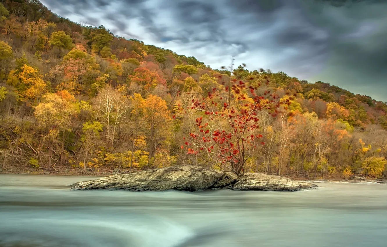 Фото обои осень, река, ветер, поток