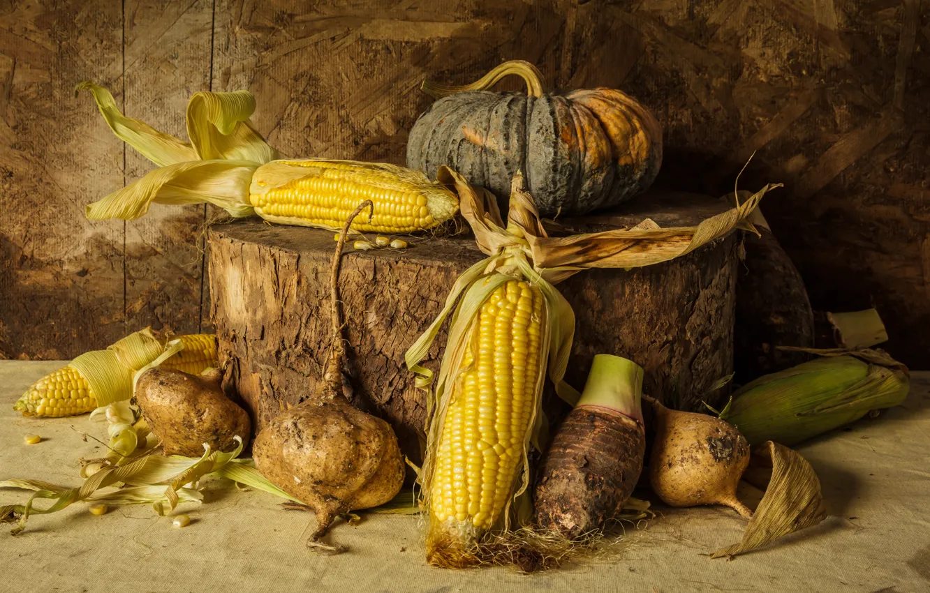 Фото обои кукуруза, урожай, тыква, натюрморт, овощи, autumn, still life, pumpkin