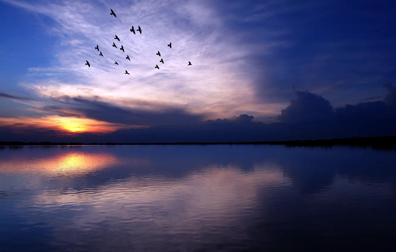 Фото обои небо, вода, закат, птицы, тучи, природа