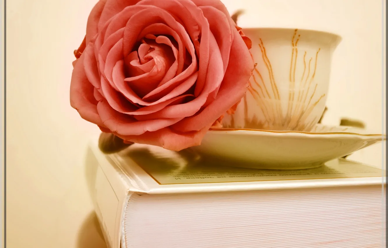 Фото обои фон, обои, узор, роза, кружка, книга, блюдце